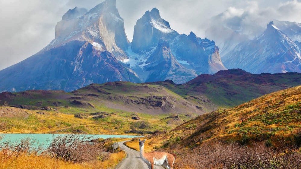 राजा अम्पाट,  इंडोनेशिया,  प्राकृतिक सुंदरता,  अंडरवाटर जैव विविधता,  प्यानमो,  कोरल ट्राएंगल,  डाइविंग,  स्नॉर्कलिंग,  चूना पत्थर के द्वीप,  मंटा रे