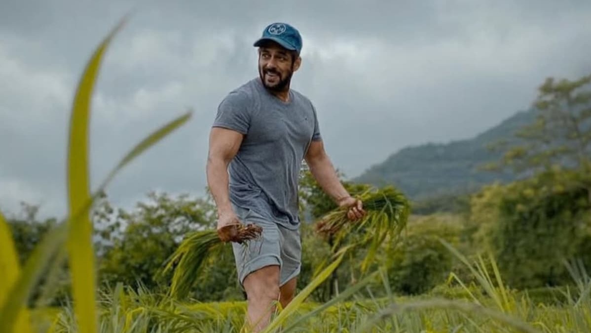 सलमान खान पनवेल फार्महाउस,  Salman Khan birthday,  बॉलीवुड सेलिब्रिटी होम,  सलमान खान लाइफस्टाइल,  पनवेल फार्महाउस कीमत,  बॉलीवुड न्यूज़ हिंदी,  सलमान खान 60वां जन्मदिन,  सेलिब्रिटी लग्ज़री होम,  सलमान खान निजी जीवन